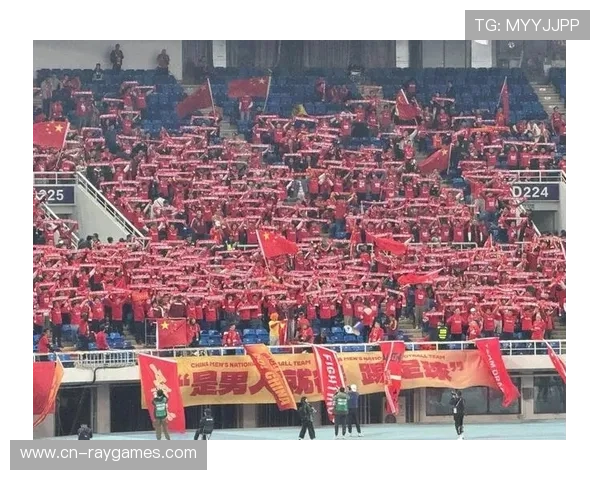 喀麦隆球迷现场助威声势浩大，看台现巨型国旗展示